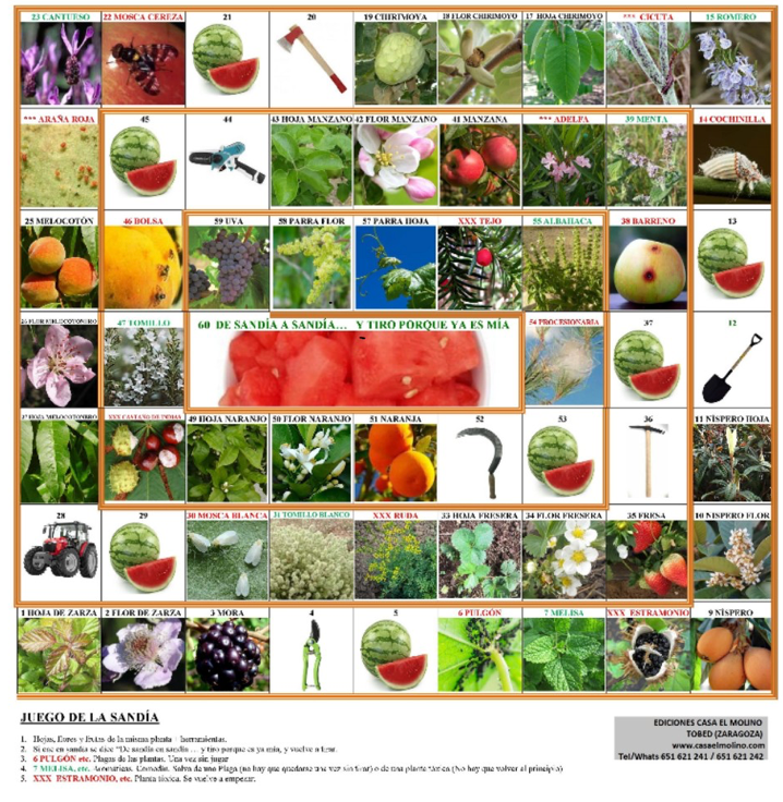 MARATÓN DE JUEGOS BOTÁNICOS Y MICOLÓGICOS. 2 h.